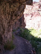 IMG_0468.JPG