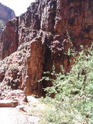 IMG_0470.JPG