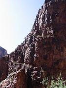 IMG_0471.JPG