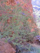 IMG_0474.JPG