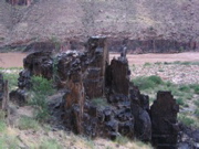 IMG_0483.JPG