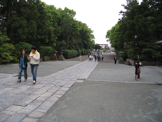 IMG_0774.JPG