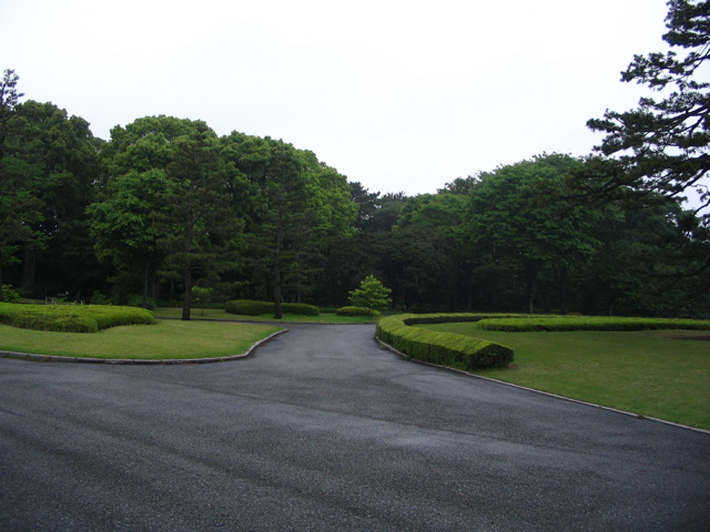 STD_0623.JPG