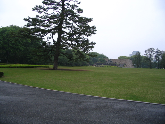 STE_0624.JPG