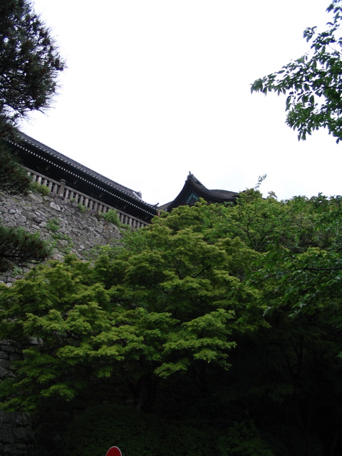 IMG_0887.JPG
