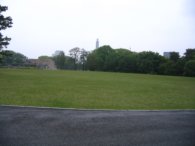 STF_0625.JPG