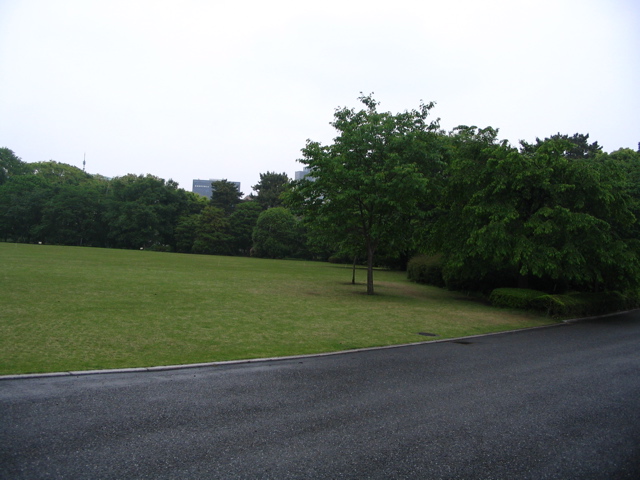STG_0626.JPG