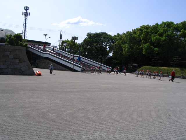 IMG_0900.JPG