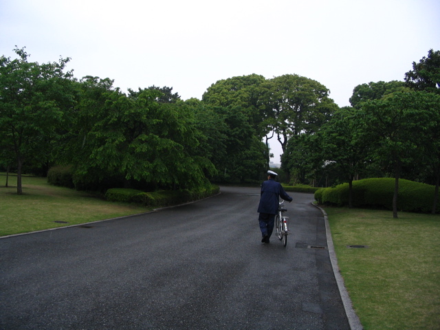 STH_0627.JPG