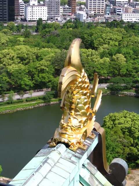IMG_0915.JPG