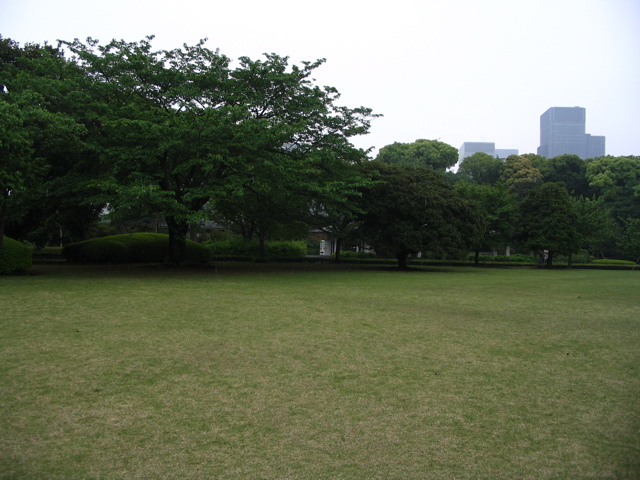 STJ_0629.JPG
