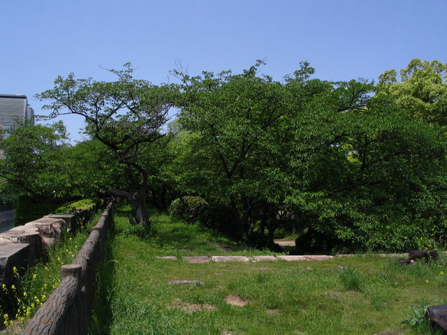 STJ_0931.JPG