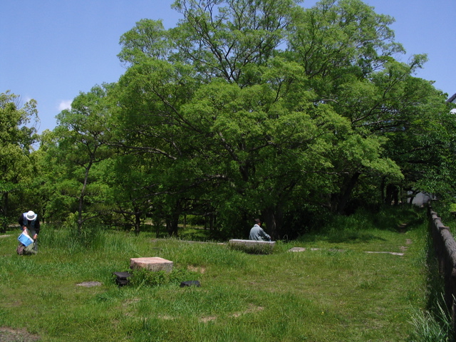 STL_0933.JPG