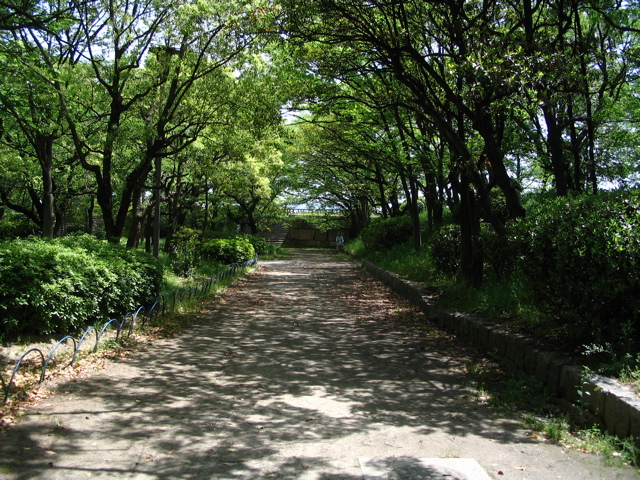 STB_0936.JPG