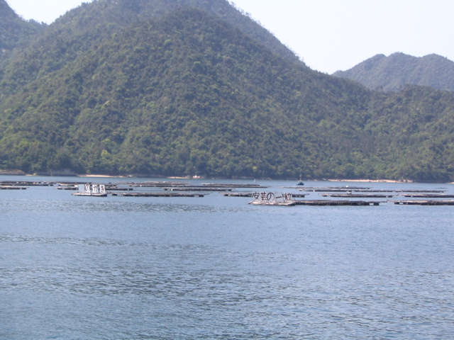IMG_1099.JPG