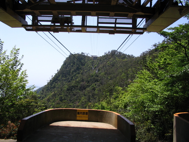 IMG_1156.JPG