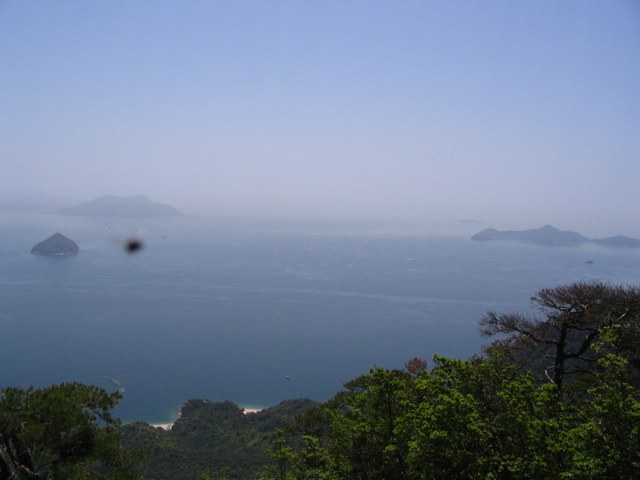 IMG_1167.JPG