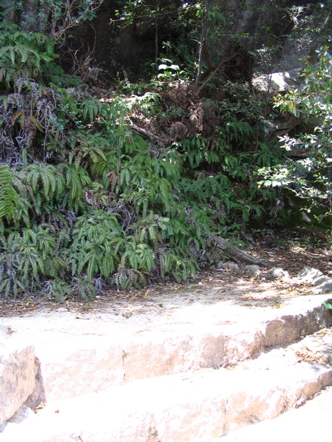 IMG_1179.JPG