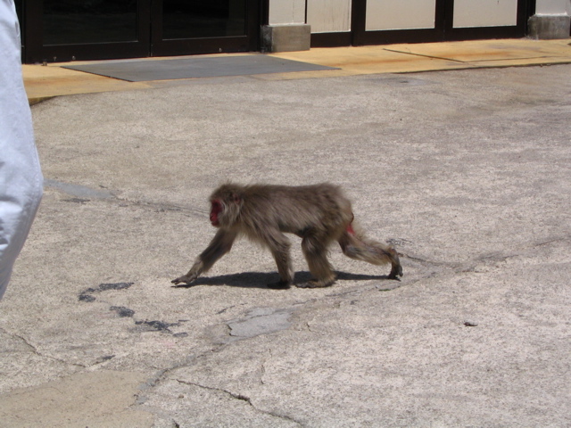 IMG_1219.JPG