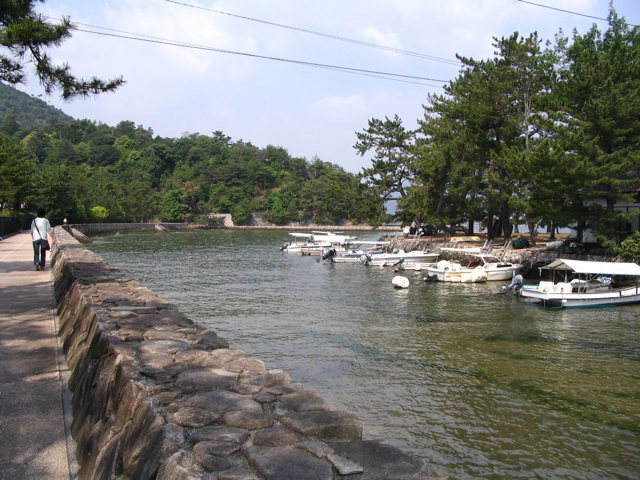 IMG_1254.JPG