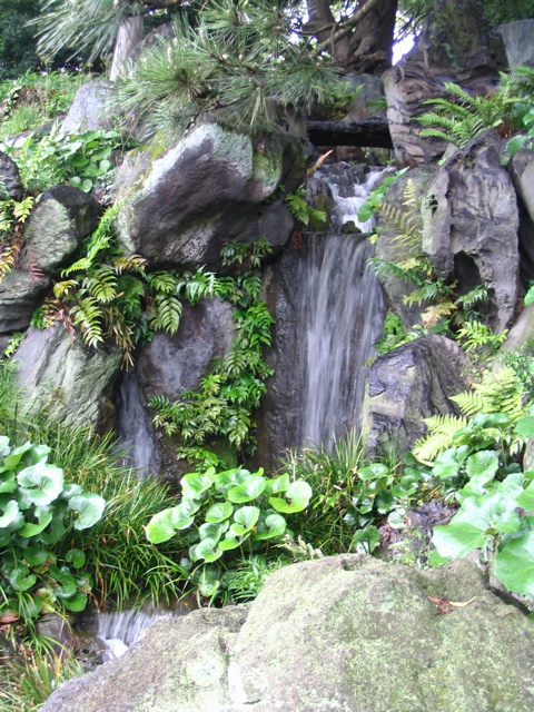 IMG_0668.JPG