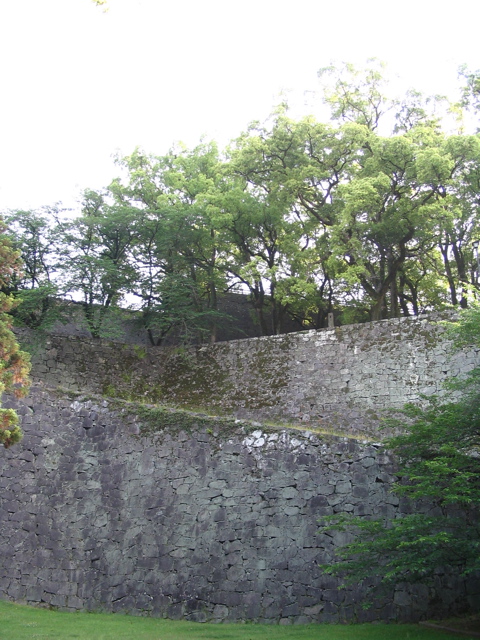 IMG_1351.JPG