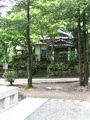 IMG_0704.JPG