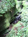 IMG_0737.JPG