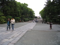 IMG_0774.JPG