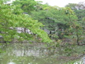 IMG_0777.JPG