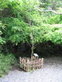 IMG_0784.JPG