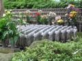 IMG_0785.JPG