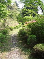 IMG_0790.JPG
