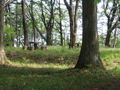 IMG_0792.JPG