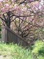 IMG_0794.JPG