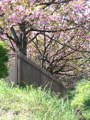 IMG_0795.JPG