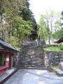 IMG_0805.JPG
