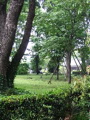 IMG_0617.JPG
