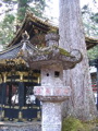 IMG_0818.JPG