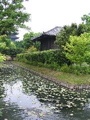 IMG_0841.JPG