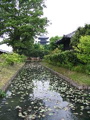 IMG_0842.JPG