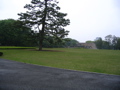 STE_0624.JPG
