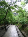 IMG_0882.JPG