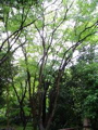 IMG_0883.JPG