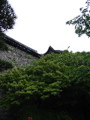 IMG_0887.JPG