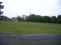 STF_0625.JPG