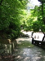 IMG_0893.JPG