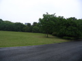 STG_0626.JPG