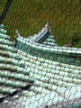 IMG_0912.JPG