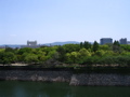 STC_0924.JPG